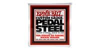 ERNIEBALL Pedal Steel 10-String C6 #2501