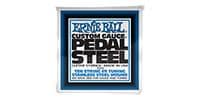 ERNIEBALL Pedal Steel 10-String E9 #2504