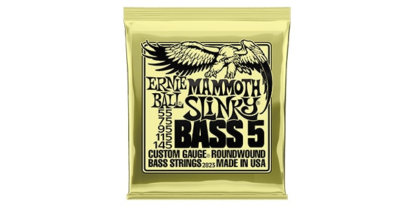 ERNIE BALL ( アーニー・ボール ) / Mammoth Slinky Bass 5-String #2823