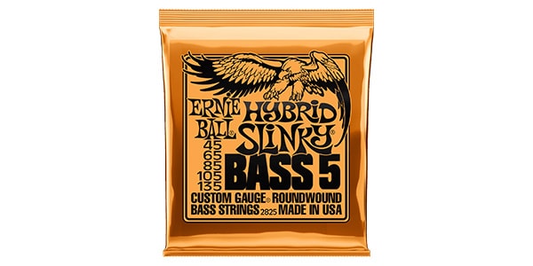 ERNIE BALL ( アーニー・ボール ) / Hybrid Slinky Bass 5-String #2825