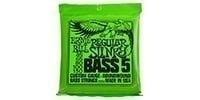 ERNIEBALL Regular Slinky Bass 5