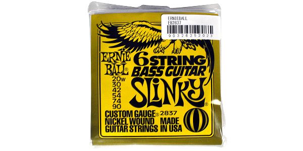 ERNIEBALL/6-String 29-5/8