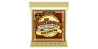 ERNIE BALL / MEDIUM EARTHWOOD 80/20 BRONZE ACOUSTIC GUITAR STRINGS 13-56