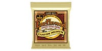ERNIE BALL / CUSTOM MEDIUM EARTHWOOD 80/20 BRONZE ACOUSTIC GUITAR STRINGS