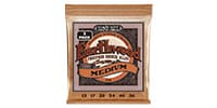 ERNIE BALL / Medium Earthwood Phosphor Bronze Acoustic Guitar Strings 13-