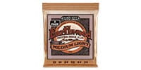 ERNIE BALL / Medium Light Earthwood Phosphor Bronze Acoustic Guitar Strin