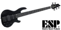 ESP Albion STEALTH tetsuya Model