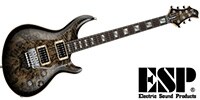 ESP AMOROUS-CTM FR Burled MapleReprile Black Burst