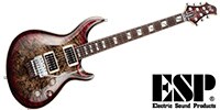 ESP AMOROUS-CTM FR Burled MapleReptile Red Burst