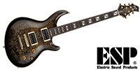 ESP AMOROUS-CTM NT Burled MapleReprile Black Burst