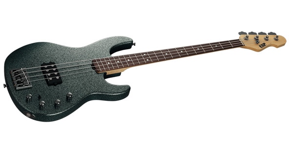 ESP / AP Rosewood FB Granite Sparkle画像3