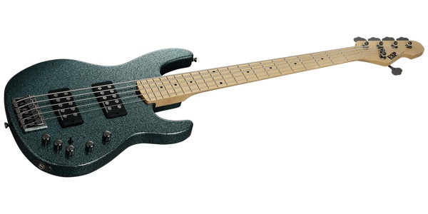 ESP ( イーエスピー )  / AP-SL5 Maple FB Granite Sparkle画像3