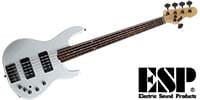 ESP / AP-SL5 Rosewood FB Snow White