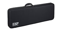 ESP / HC-G