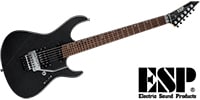 ESP / MAVERICK Titan Metal/Rose Wood
