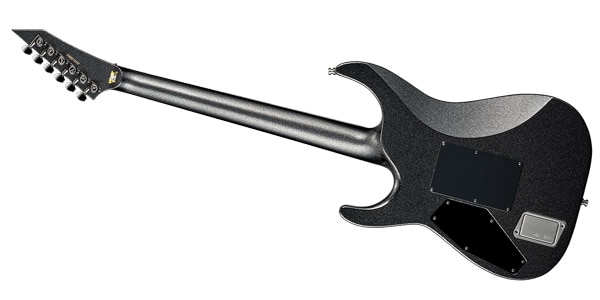 ESP / M-II CTM FR /E Titan Metal画像2