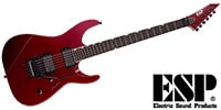 ESP / MIICTMFRMDCAR