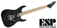 ESP / MIICTMFRMTIM