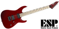 ESP / MIICTMNTMDCAR