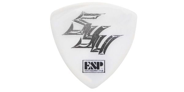 ESP ( イーエスピー )  / PA-GS07D-TOUR2016 SI 画像2