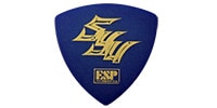 ESP PA-GS08D