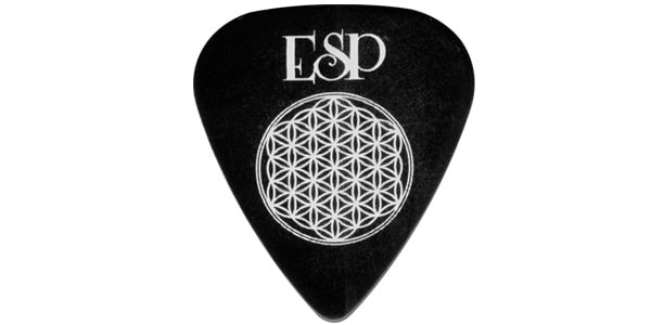 ESP / PA-LS08-A NEW VOICE画像2