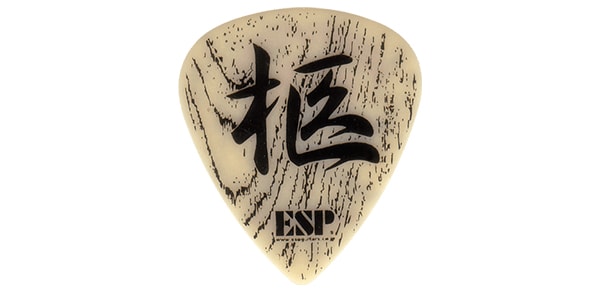 ESP ( イーエスピー )  / PA-NH08