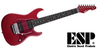 ESP / RAIDEN8666