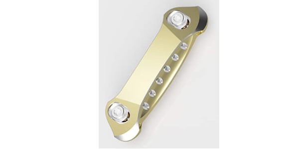 ESP / TP20 Aluminum -Horizontal- No.1 Gold Beige