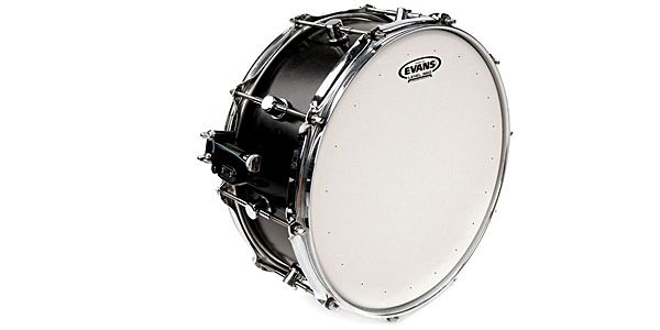 EVANS ( エバンス )  / B12DRY　ジェネラ・ドライ　12インチ 画像2