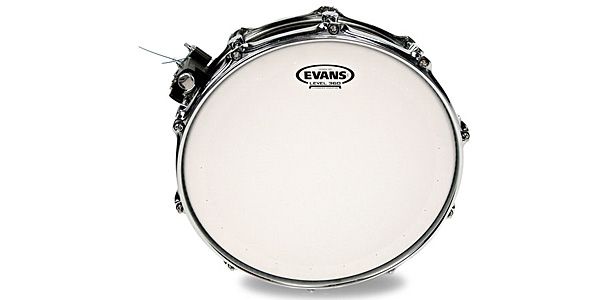 EVANS ( エバンス )  / B12DRY　ジェネラ・ドライ　12インチ 画像3