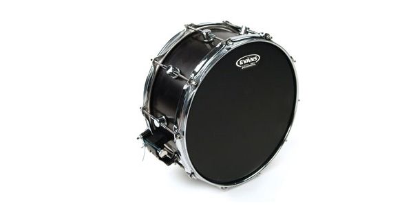 EVANS / B12ONX2　オニキスコーテッド　12インチ 画像2