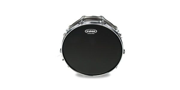 EVANS / B12ONX2　オニキスコーテッド　12インチ 画像3