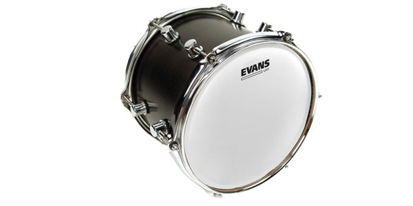 EVANS ( エバンス )  / B12UV1　UV1コーテッド　12インチ画像2