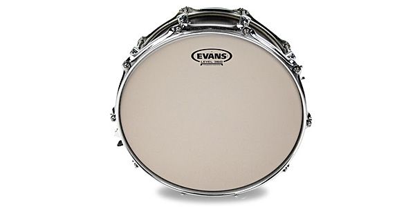EVANS ( エバンス )  / E12J1　ETCHED 12インチ 画像3