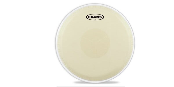 EVANS/EC0975