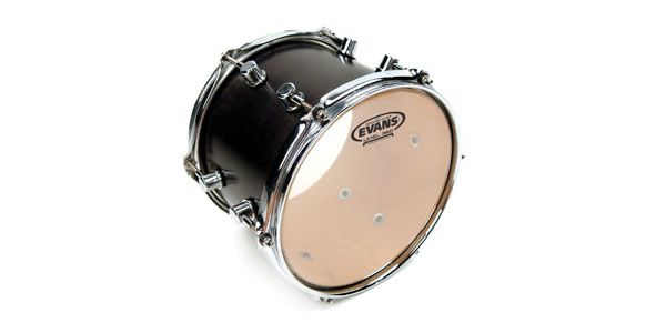 EVANS / TT10RGL 画像2