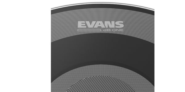 EVANS ( エバンス )  / BD24DB1　dB1 24インチ画像2