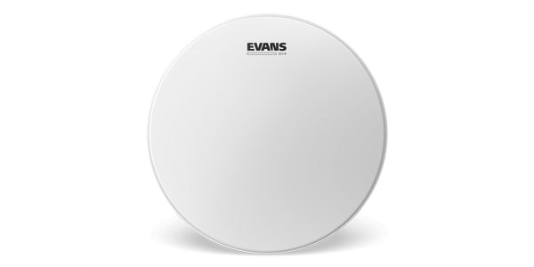 EVANS ( エバンス )  / B06G14