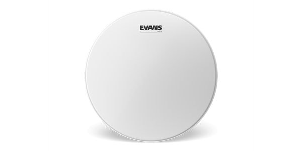 EVANS ( エバンス )  / B06G2　G2コーテッド　6インチ
