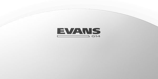 EVANS ( エバンス )  / B08G14画像3