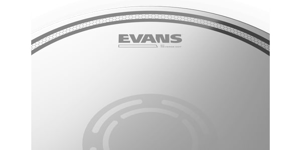 EVANS / B10ECSRD画像3