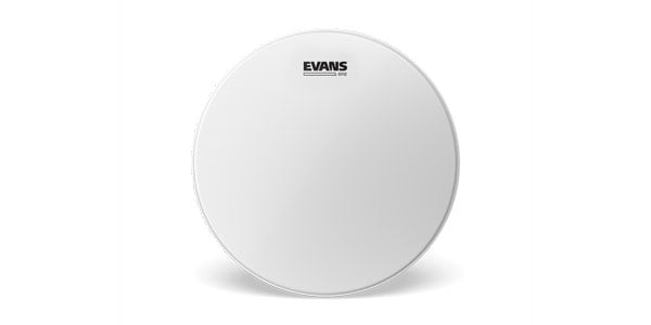 EVANS ( エバンス )  / B10G12　G12コーテッド　10インチ