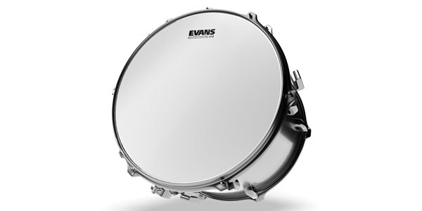 EVANS ( エバンス )  / B10G12　G12コーテッド　10インチ画像2
