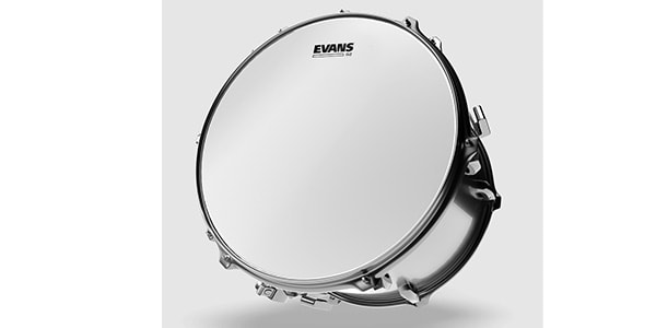 EVANS / B10G2　G2コーテッド　10インチ画像2