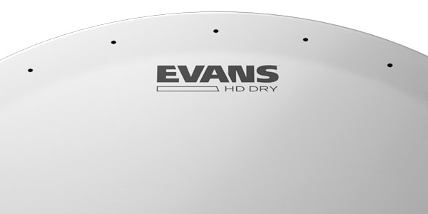 EVANS / B12HDD　HD DRY　12インチ画像3