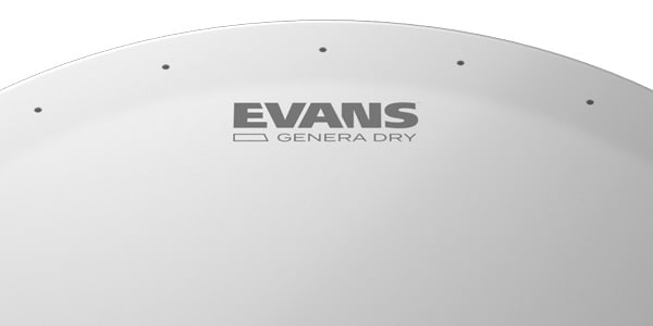 EVANS / B13DRY　ジェネラ・ドライ 13インチ画像3