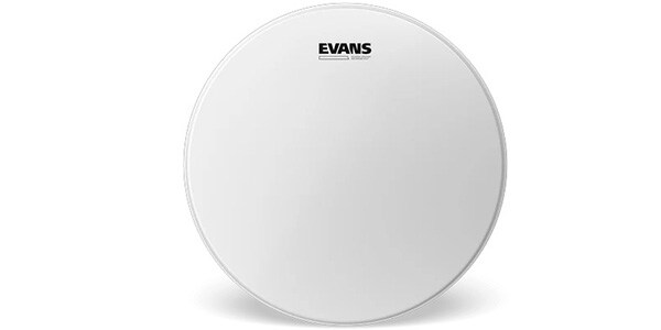 EVANS ( エバンス ) / B13G1RD パワーセンター・リバースドット 13インチ