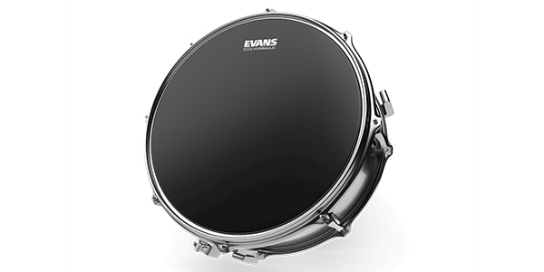 EVANS / B13HBG画像2