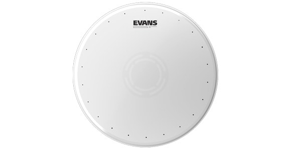 EVANS / B13HWD ヘビーウェイト ドライ 13インチ